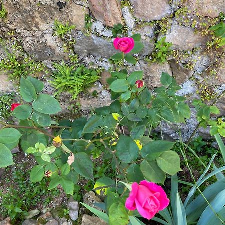 Ferme Fleurie Bed & Breakfast Bergesserin ภายนอก รูปภาพ