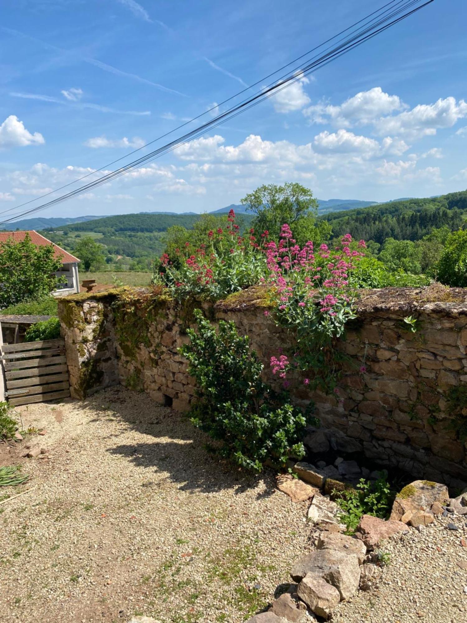 Ferme Fleurie Bed & Breakfast Bergesserin ภายนอก รูปภาพ