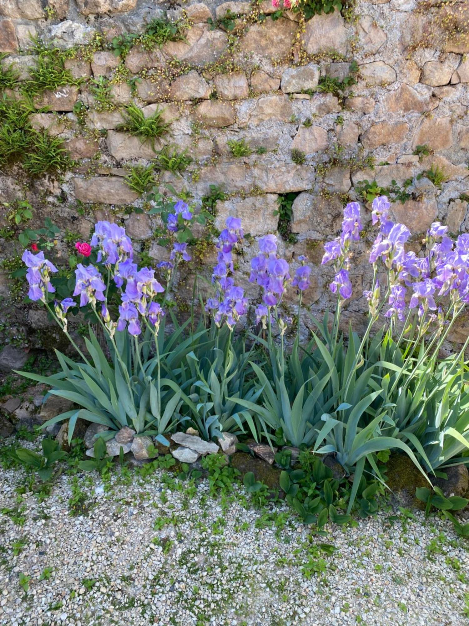 Ferme Fleurie Bed & Breakfast Bergesserin ภายนอก รูปภาพ